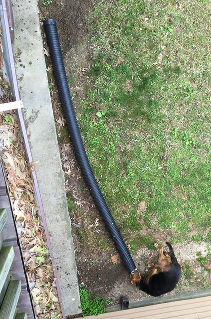 Something is/was in the tube.