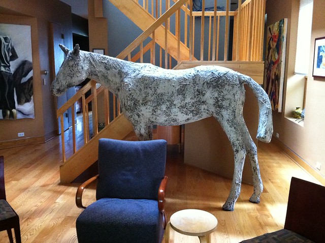 There's a horse in my host house