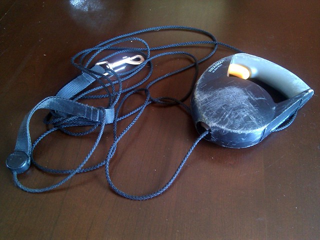 What happens when your dog gets loose on a walk and thinks his  retractable leash is chasing him.