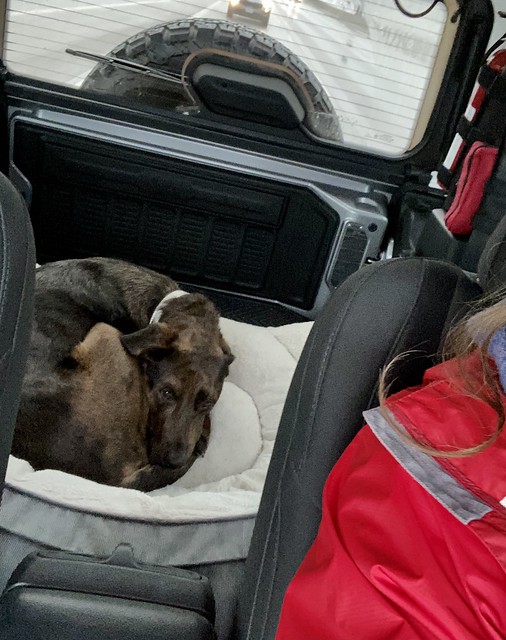 Goin to get that leg checked out