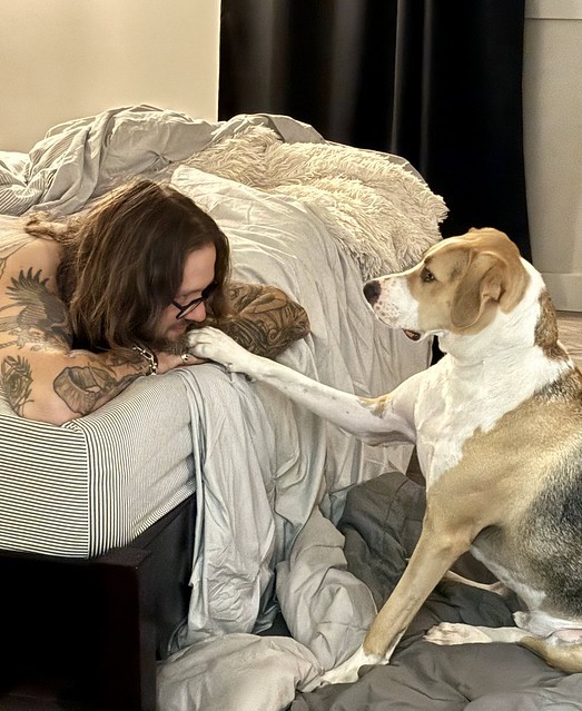 Durby would like pets