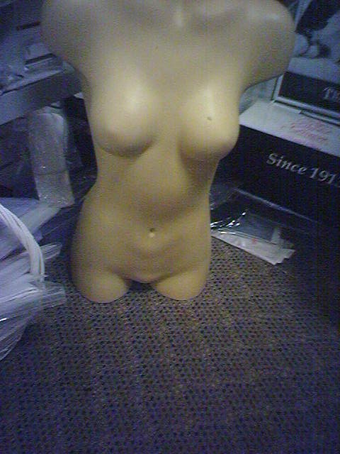 Mannequin torso