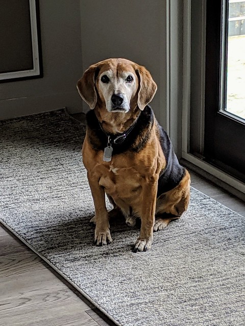 Look at this old man