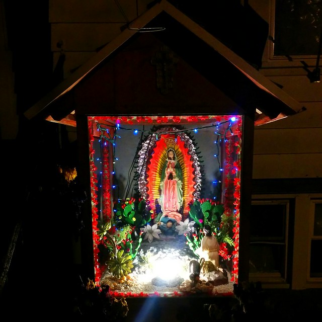 Look at this beautiful front yard exhibit.