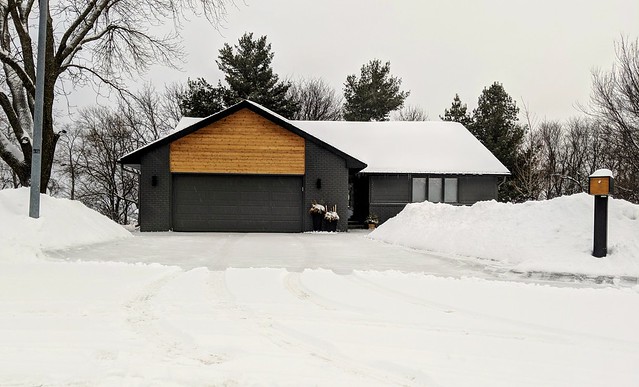 Another day of clearing the driveway.