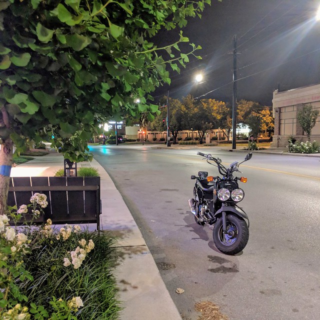 A still night in Beaverdale