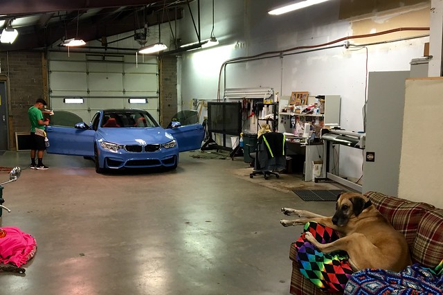 Gettin my windows tinted, writin some code, hangin with this dog, and listening to these dudes blast some Black Rebel Motorcycle Club. Not bad.