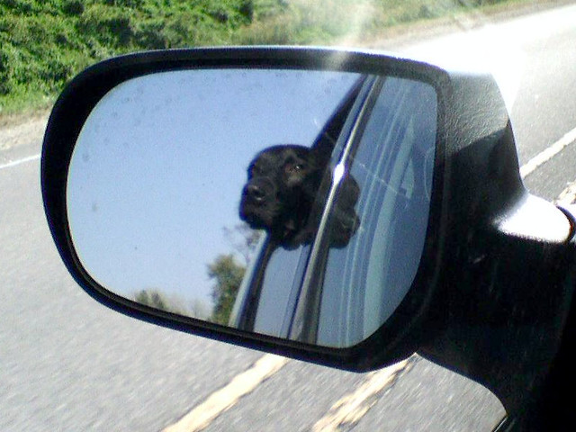 Ninja out the window