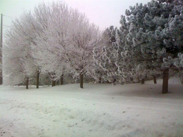 It's pretty out this morning