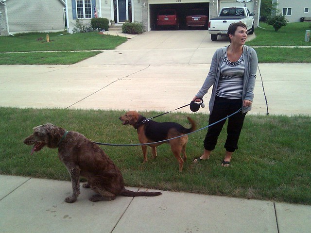 Looks like we just adopted a 95 pound chocolate lab named chewbacca... thinking about renaming Garth to Darth.