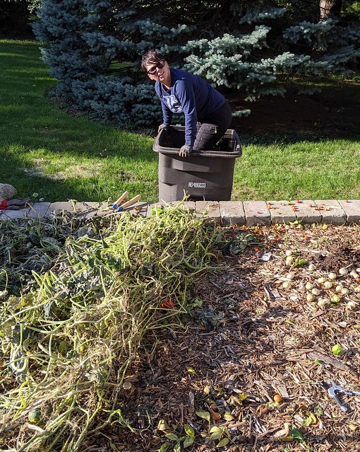 Crammin her garden into this compost bin