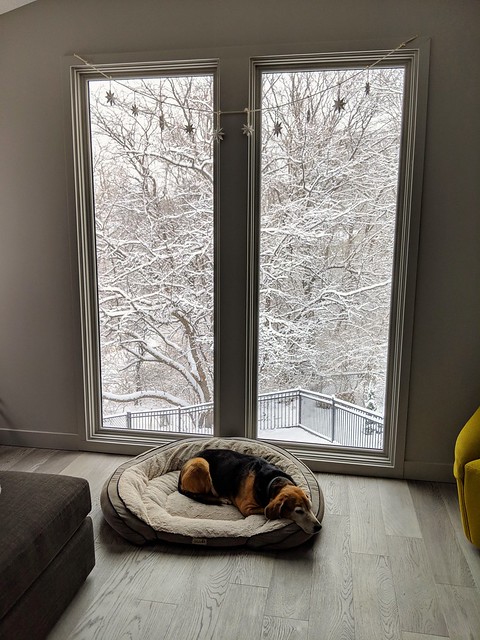 Winter has started. We chillin