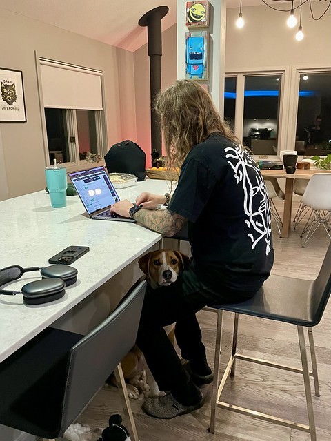 My dog apparently missed me