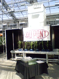 Stuff was nice and clean for Hilary...