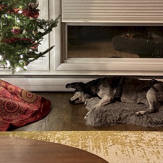 Marty - Old man, Marty