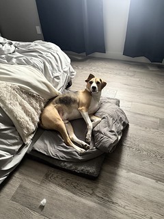 I’m sorry for disturbing your slumber, Durby