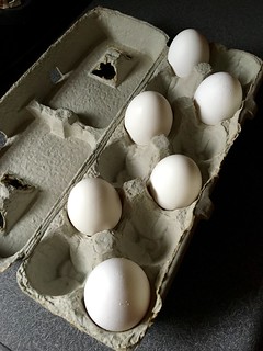 This is what OCD looks like