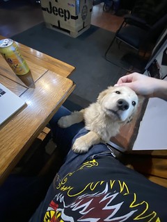 Made a buddy at Earl’s tire