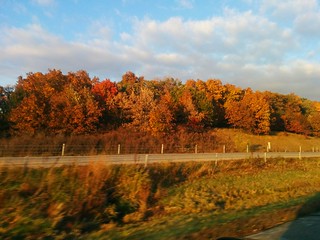 A fall cruise across Iowa.