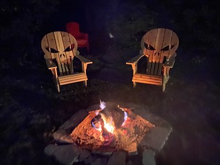 Skull adirondacks