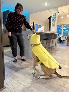 Banana boy
