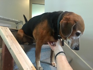 Awkward boy wants his chest rubbed