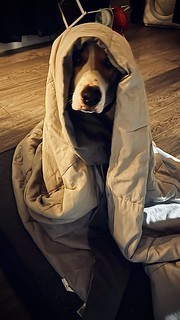 The emperor is ready for bed