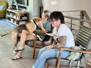 2737 - Some dog lovers