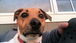 Covid-19 - Important video chats