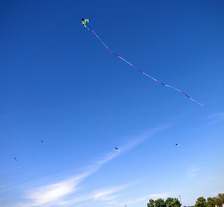 Kites
