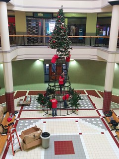 puttin up a giant Christmas tree