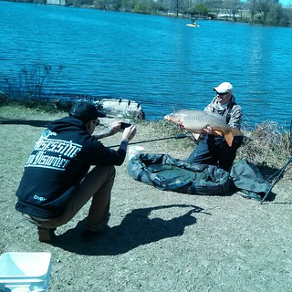 32 lb carp