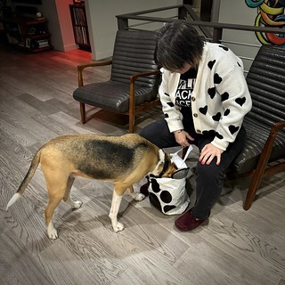 Diggin for birthday presents