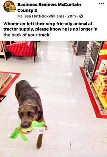 Benny Brooks - Roaming the aisles of Tractor Supply Company with a toy