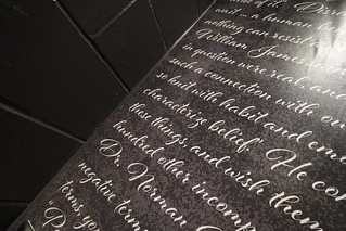 The principles of psychology