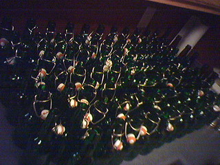 Homebrew - Grolsch bottles