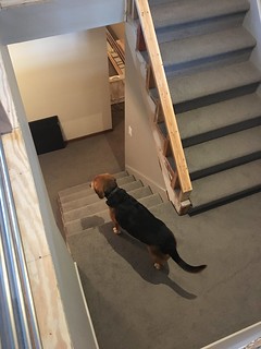 Concerned about the jackhammering