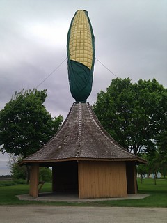 A giant ear of corn