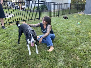 Benny Brooks - Manny is a good dog. Benny is not