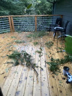 Guess it got pretty windy