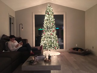 Settin up for our first Christmas at the new place.