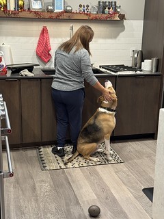 Durby distracts Lety