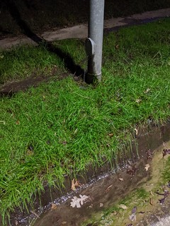 Broken - We've got this water main leak or natural spring in our hood