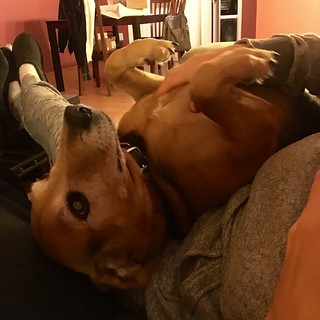 Garth Brooks hangin out on Kari's lap