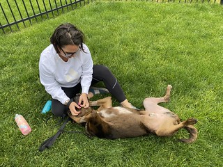 Benny Brooks - Back yard hangin