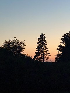 Sunset - neighborhood sunset