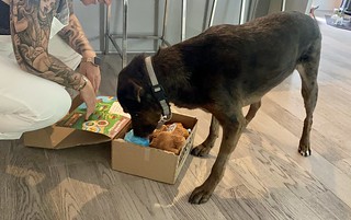 Benny Brooks - Benny the Butthole's first Bark Box