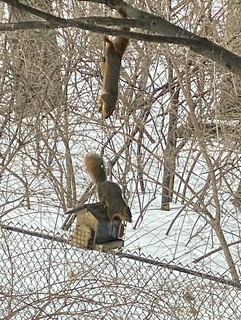 Covid-19 - These asshole tho