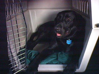 Ninja riding to Cedar Rapids