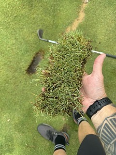 Golf - Look at that beaver pelt